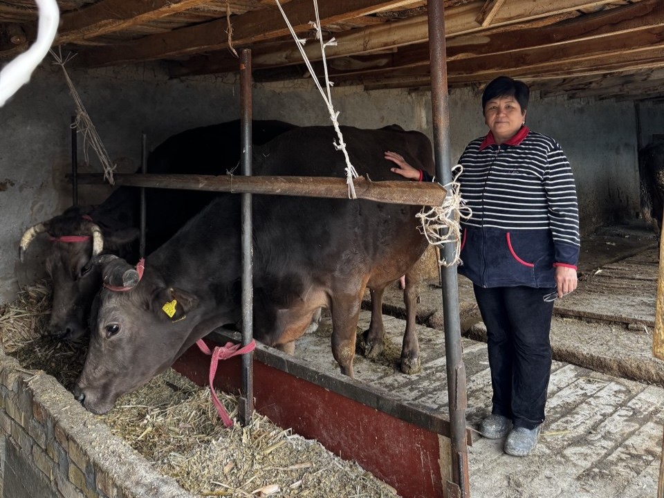 photo 5222182866593190296 y